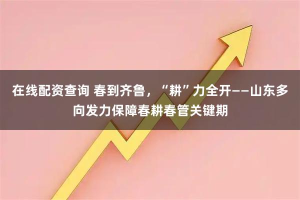 在线配资查询 春到齐鲁，“耕”力全开——山东多向发力保障春耕春管关键期